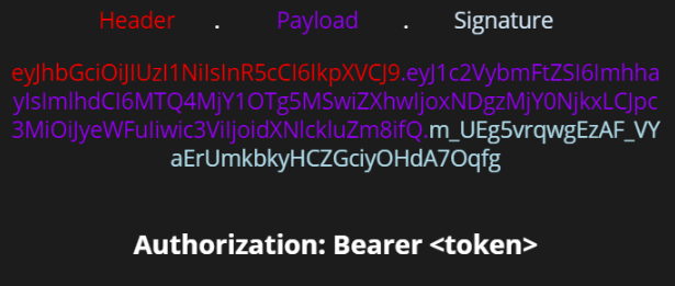 jwt token example